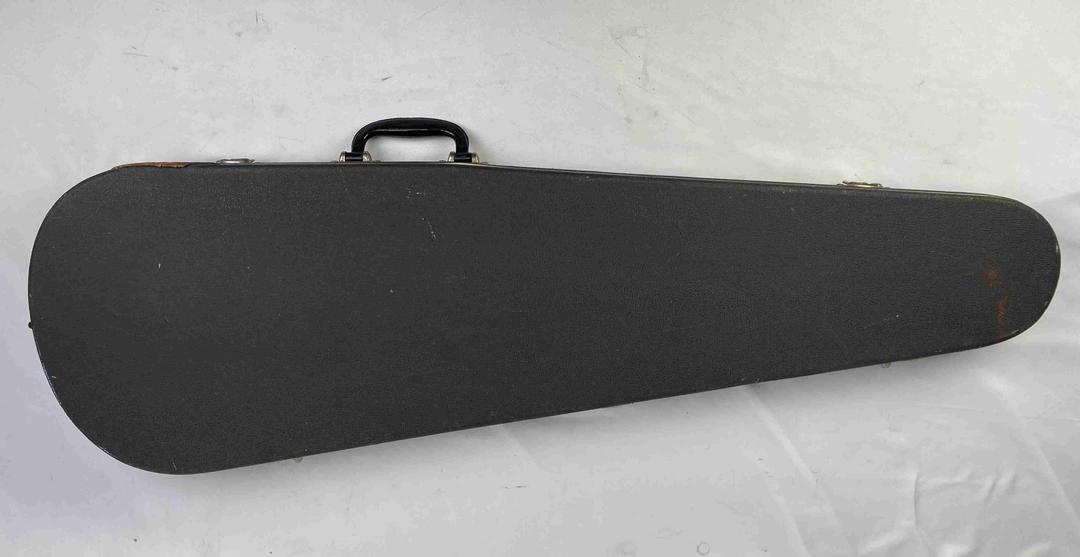 Vox -  1967 Panther